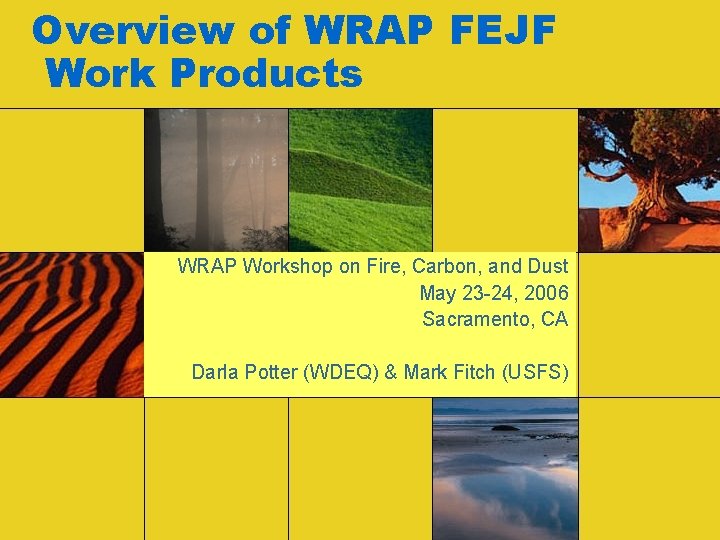 Overview of WRAP FEJF Work Products WRAP Workshop on Fire, Carbon, and Dust May