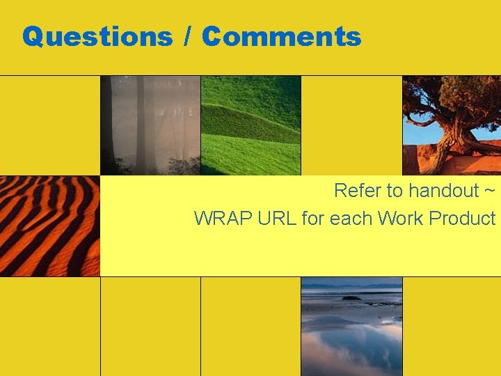 Questions / Comments Refer to handout ~ WRAP URL for each Work Product 