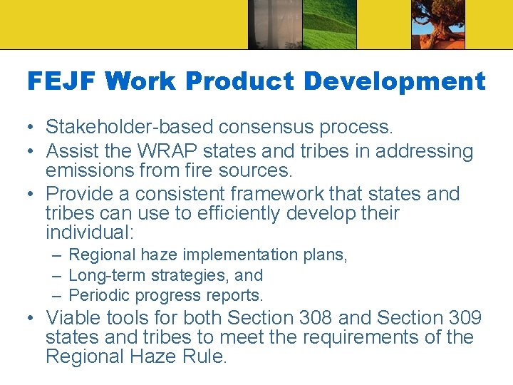 FEJF Work Product Development • Stakeholder-based consensus process. • Assist the WRAP states and