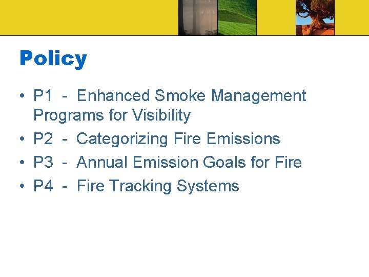Policy • P 1 - Enhanced Smoke Management Programs for Visibility • P 2
