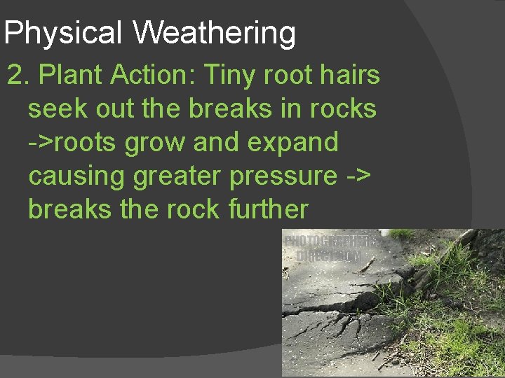 Physical Weathering 2. Plant Action: Tiny root hairs seek out the breaks in rocks