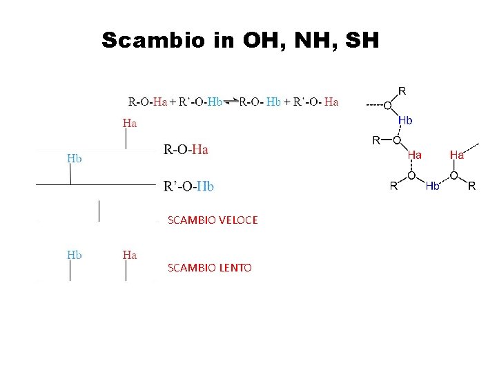 Scambio in OH, NH, SH SCAMBIO VELOCE SCAMBIO LENTO 