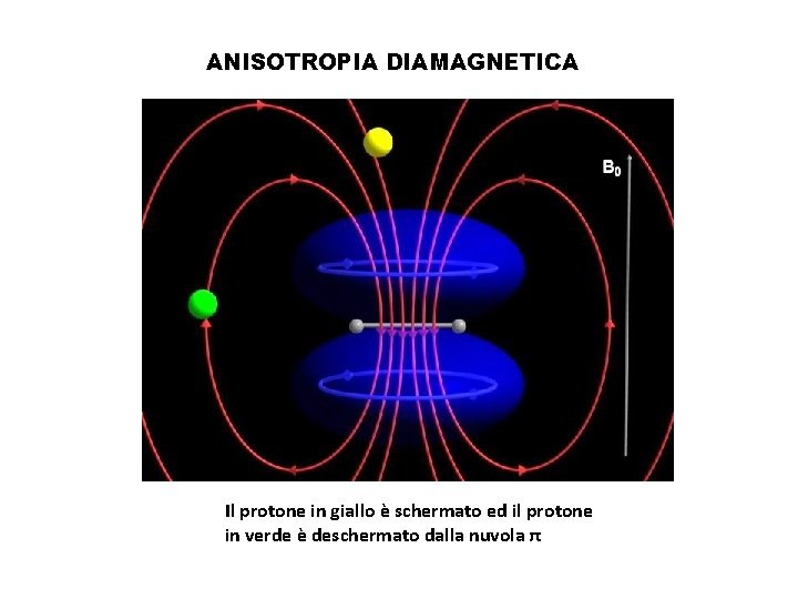 ANISOTROPIA DIAMAGNETICA Il protone in giallo è schermato ed il protone in verde è