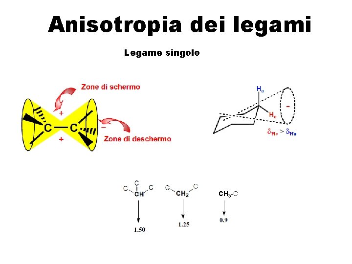 Anisotropia dei legami Legame singolo CH 3 -C 