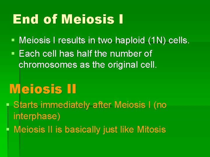 End of Meiosis I § Meiosis I results in two haploid (1 N) cells.