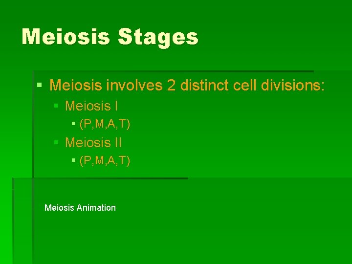 Meiosis Stages § Meiosis involves 2 distinct cell divisions: § Meiosis I § (P,