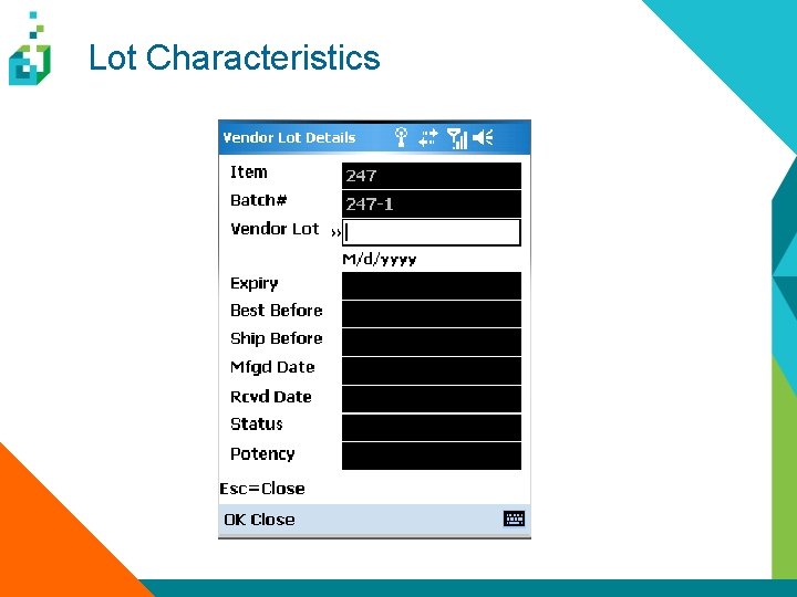 Lot Characteristics 