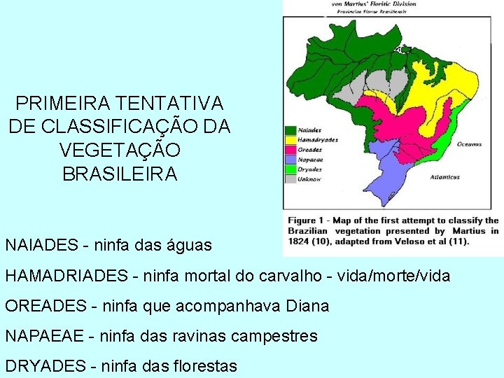 PRIMEIRA TENTATIVA DE CLASSIFICAÇÃO DA VEGETAÇÃO BRASILEIRA NAIADES - ninfa das águas HAMADRIADES -