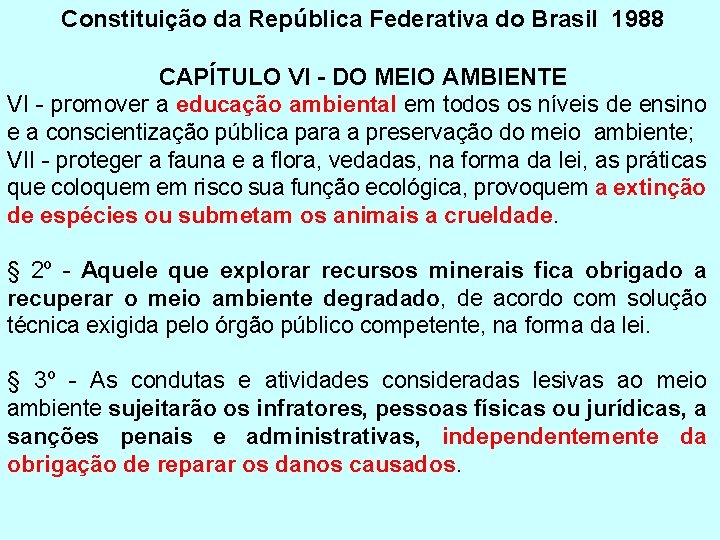 Constituição da República Federativa do Brasil 1988 CAPÍTULO VI - DO MEIO AMBIENTE VI