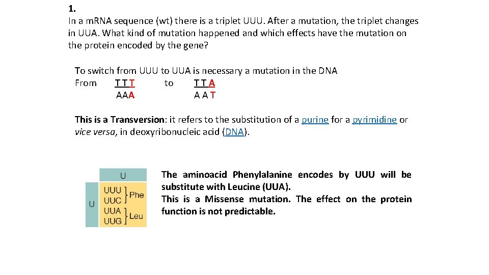 1. In a m. RNA sequence (wt) there is a triplet UUU. After a