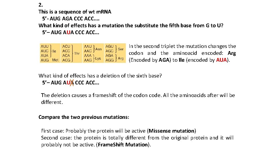 2. This is a sequence of wt m. RNA 5’- AUG AGA CCC ACC….