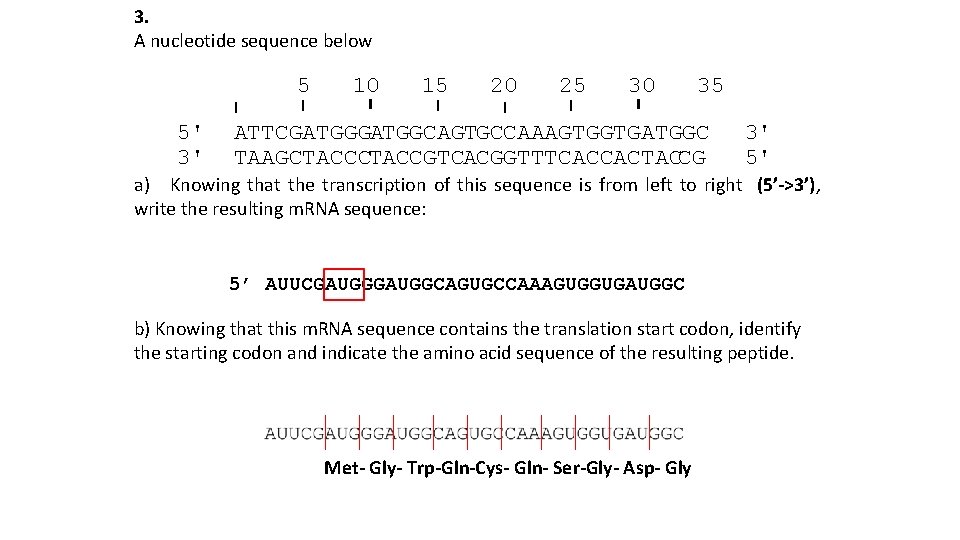 3. A nucleotide sequence below 5' 3' 5 10 15 20 25 30 35