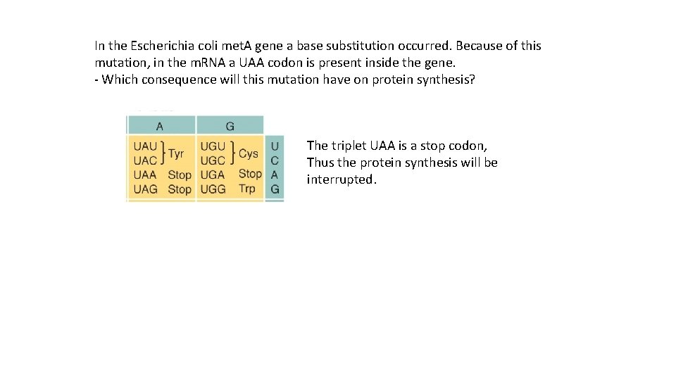 In the Escherichia coli met. A gene a base substitution occurred. Because of this