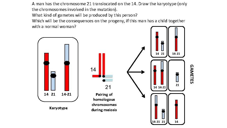 A man has the chromosome 21 translocated on the 14. Draw the karyotype (only