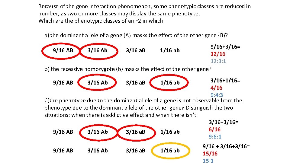 Because of the gene interaction phenomenon, some phenotypic classes are reduced in number, as