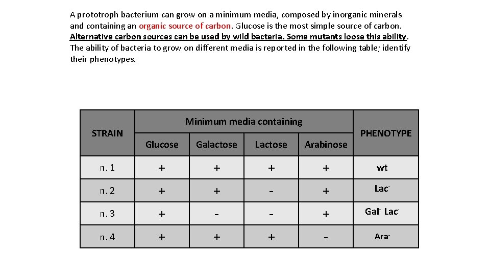 A prototroph bacterium can grow on a minimum media, composed by inorganic minerals and