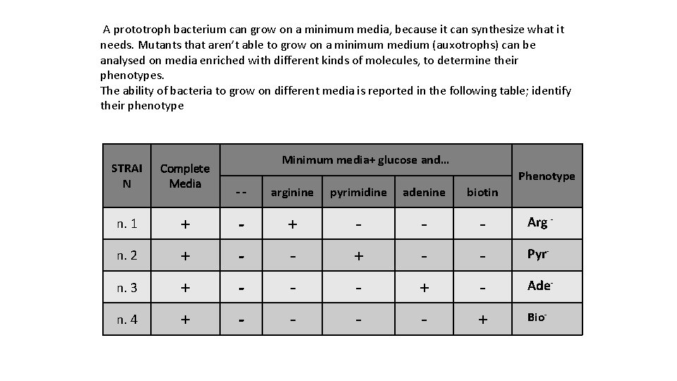  A prototroph bacterium can grow on a minimum media, because it can synthesize