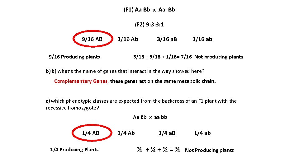 (F 1) Aa Bb x Aa Bb (F 2) 9: 3: 3: 1 9/16