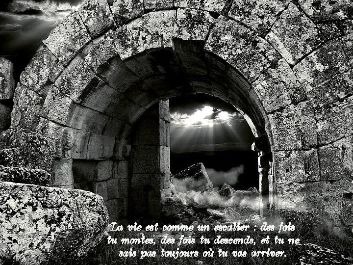 La vie est comme un escalier : des fois tu montes, des fois tu