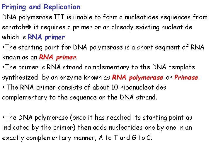 Priming and Replication DNA polymerase III is unable to form a nucleotides sequences from