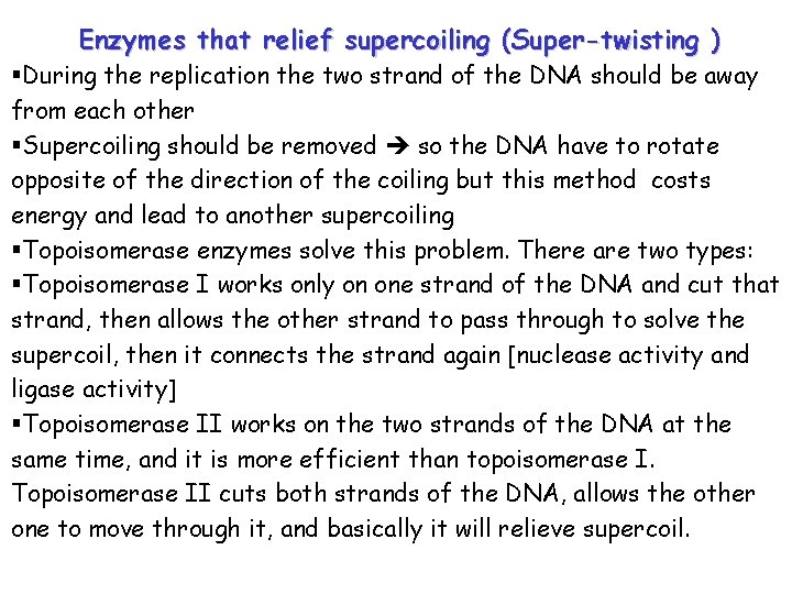 Enzymes that relief supercoiling (Super-twisting ) §During the replication the two strand of the Enzymes that relief supercoiling (Super-twisting ) §During the replication the two strand of the