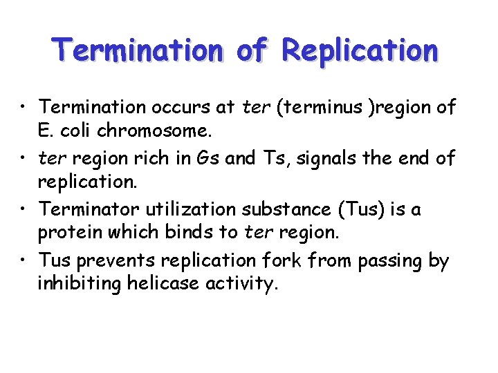 Termination of Replication • Termination occurs at ter (terminus )region of E. coli chromosome.