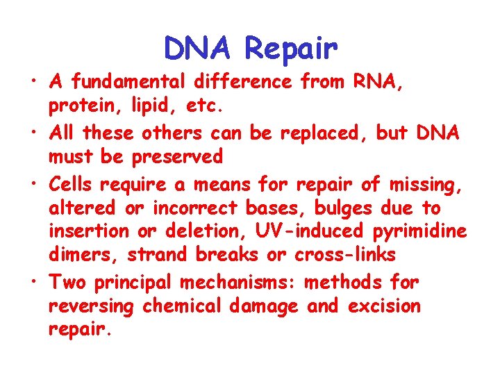 DNA Repair • A fundamental difference from RNA, protein, lipid, etc. • All these