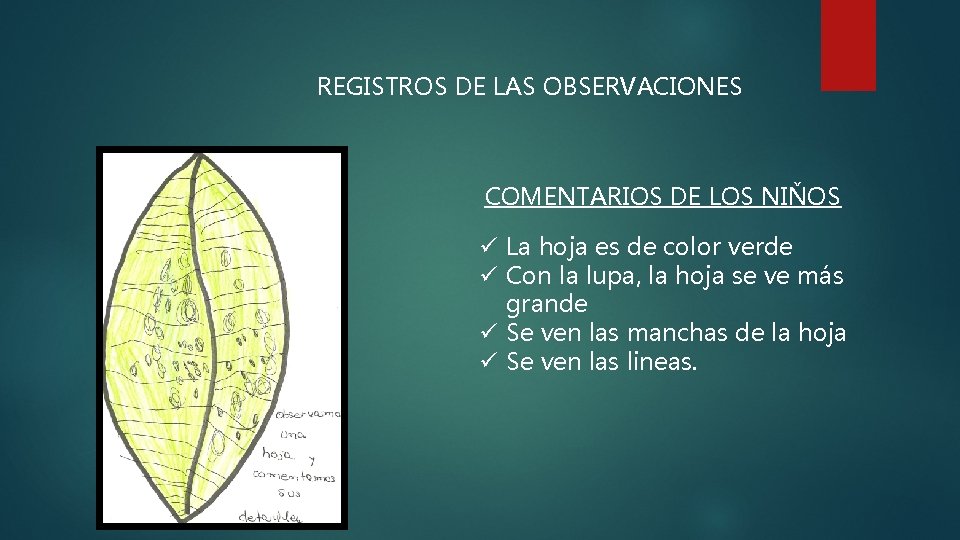 REGISTROS DE LAS OBSERVACIONES COMENTARIOS DE LOS NIŇOS ü La hoja es de color
