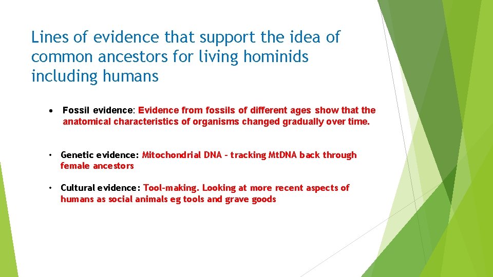 Lines of evidence that support the idea of common ancestors for living hominids including