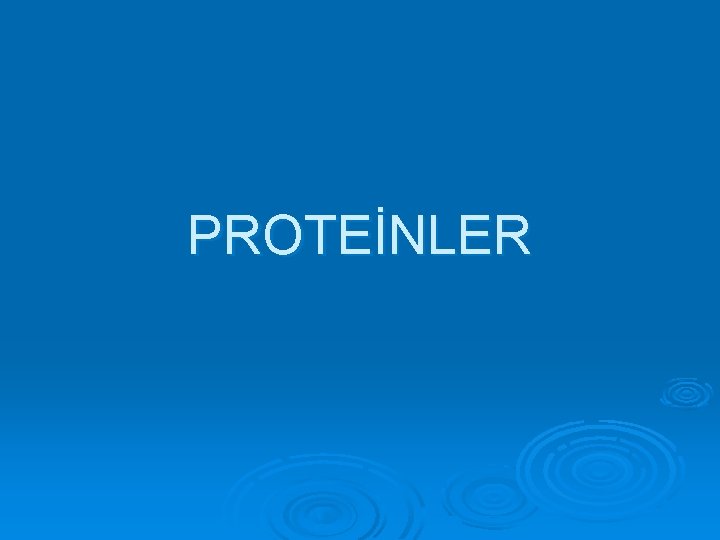 PROTEİNLER 