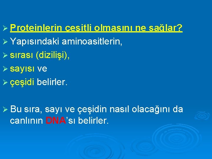 Ø Proteinlerin çeşitli olmasını ne sağlar? Ø Yapısındaki aminoasitlerin, Ø sırası (dizilişi), Ø sayısı