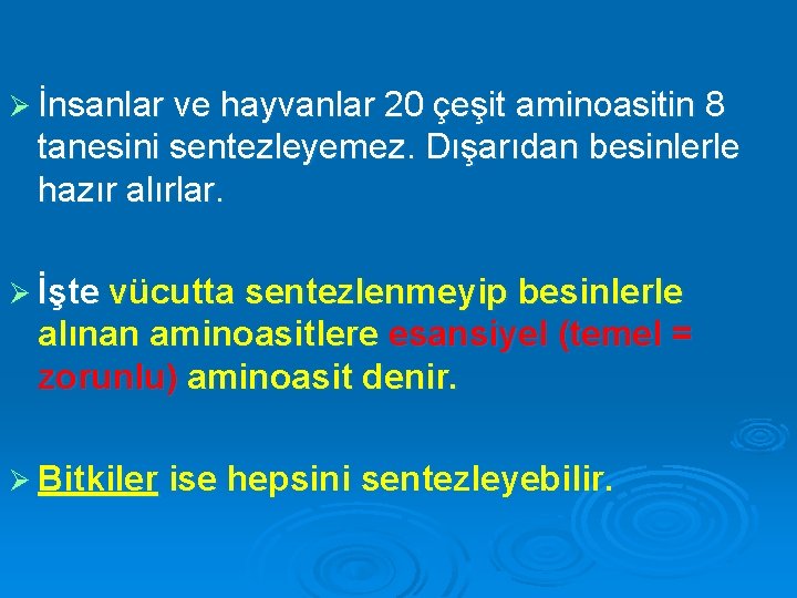 Ø İnsanlar ve hayvanlar 20 çeşit aminoasitin 8 tanesini sentezleyemez. Dışarıdan besinlerle hazır alırlar.