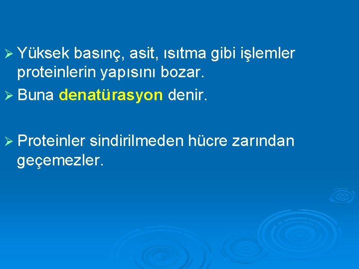 Ø Yüksek basınç, asit, ısıtma gibi işlemler proteinlerin yapısını bozar. Ø Buna denatürasyon denir.