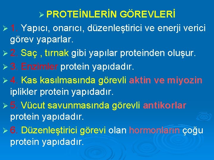 Ø PROTEİNLERİN GÖREVLERİ Ø 1. Yapıcı, onarıcı, düzenleştirici ve enerji verici görev yaparlar. Ø