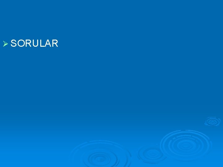 Ø SORULAR 