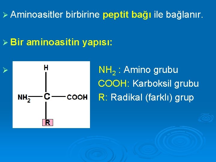 Ø Aminoasitler birbirine peptit bağı ile bağlanır. Ø Bir aminoasitin yapısı: Ø NH 2