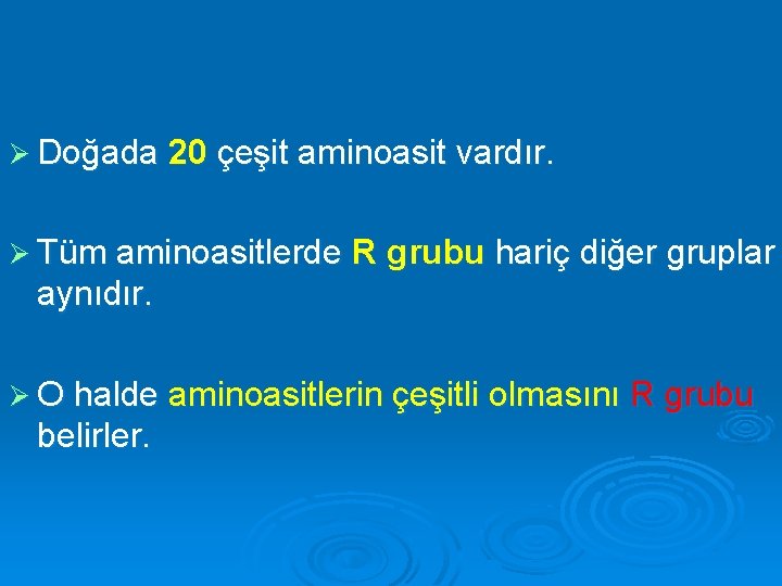 Ø Doğada 20 çeşit aminoasit vardır. Ø Tüm aminoasitlerde R grubu hariç diğer gruplar