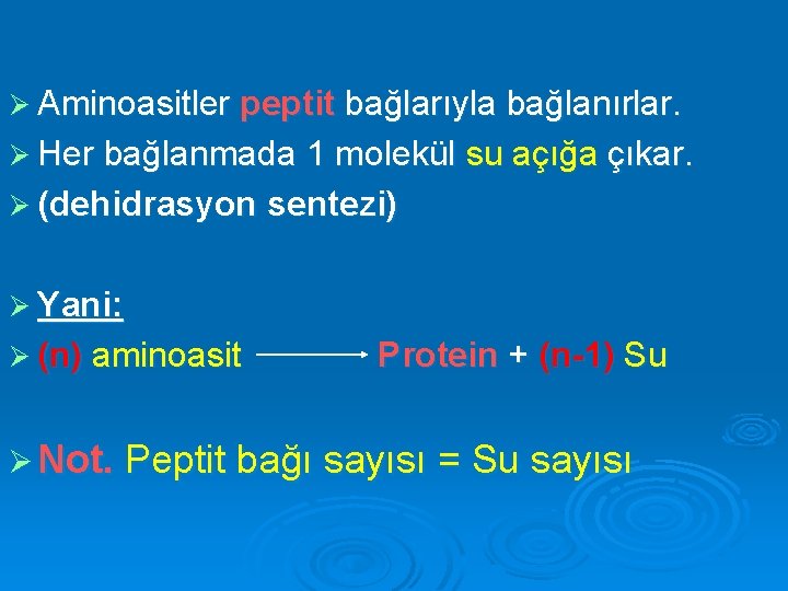 Ø Aminoasitler peptit bağlarıyla bağlanırlar. Ø Her bağlanmada 1 molekül su açığa çıkar. Ø