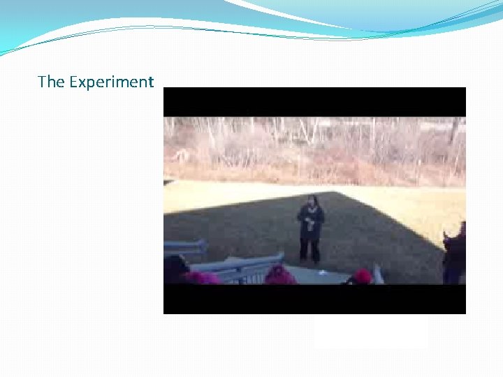 The Experiment 