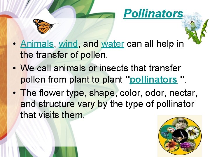 Pollinators • Animals, wind, and water can all help in the transfer of pollen.