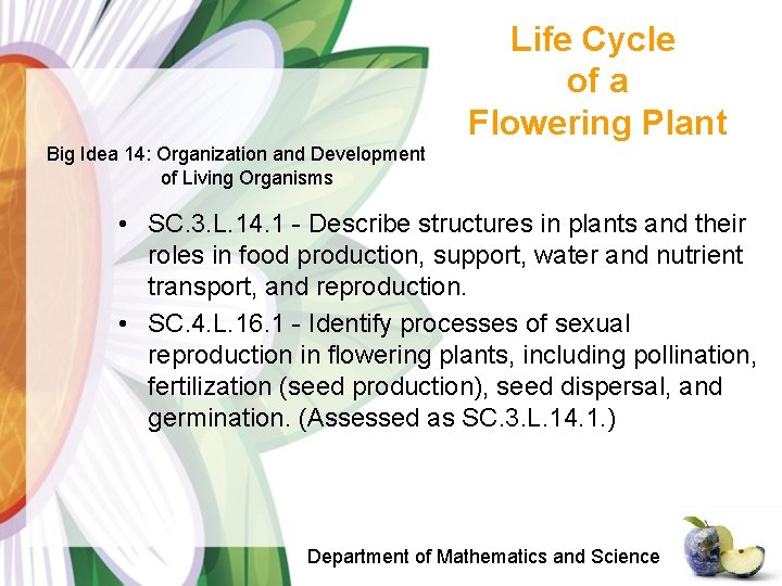 Life Cycle of a Flowering Plant Big Idea 14: Organization and Development of Living