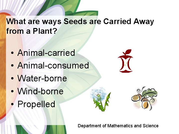 What are ways Seeds are Carried Away from a Plant? • • • Animal-carried