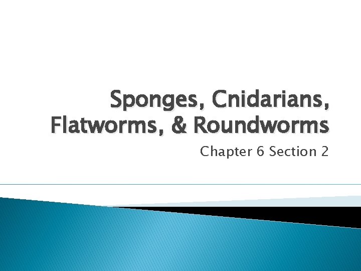 Sponges, Cnidarians, Flatworms, & Roundworms Chapter 6 Section 2 