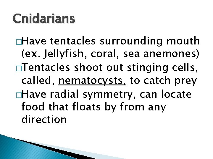 Cnidarians �Have tentacles surrounding mouth (ex. Jellyfish, coral, sea anemones) �Tentacles shoot out stinging