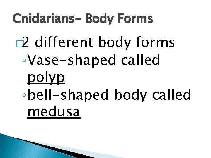 Cnidarians- Body Forms � 2 different body forms ◦Vase-shaped called polyp ◦bell-shaped body called
