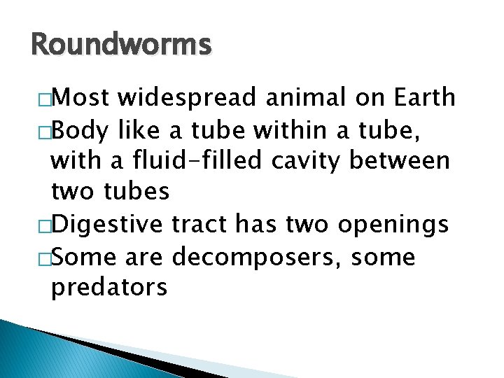 Roundworms �Most widespread animal on Earth �Body like a tube within a tube, with