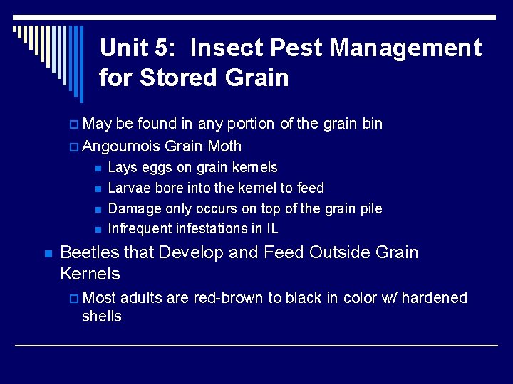 Unit 5: Insect Pest Management for Stored Grain p May be found in any