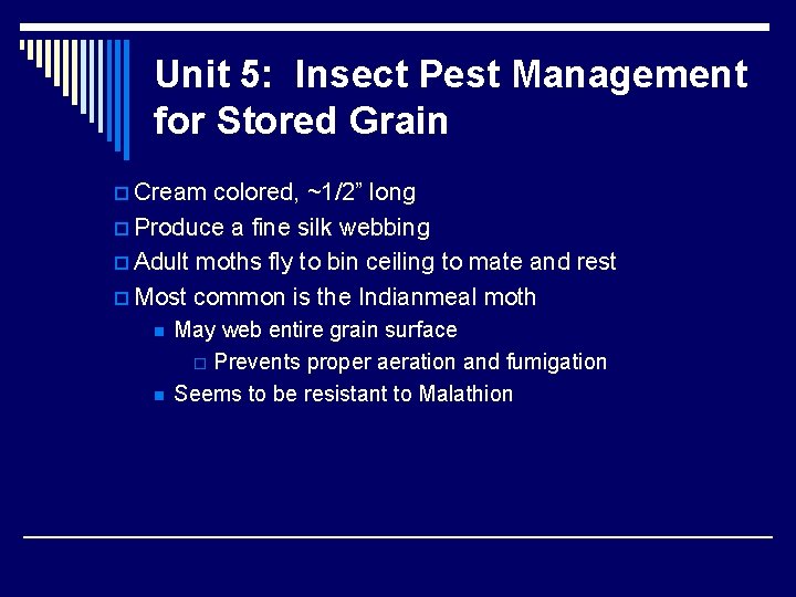 Unit 5: Insect Pest Management for Stored Grain p Cream colored, ~1/2” long p