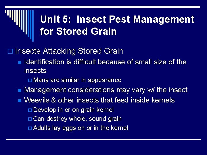 Unit 5: Insect Pest Management for Stored Grain o Insects Attacking Stored Grain n