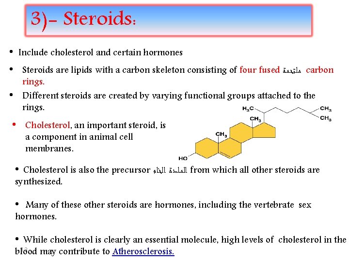 3)- Steroids: • Include cholesterol and certain hormones • Steroids are lipids with a
